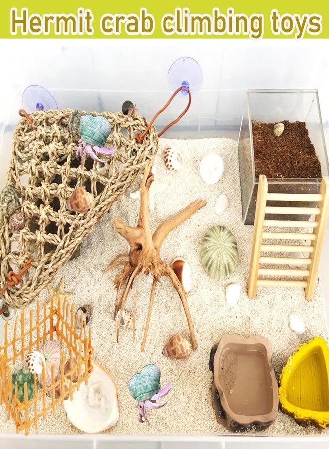 Delllala Hermit Crab Ladder Climbing Toy|Hermit Crab Decoration Tank Accessories，Reptile Habitat Decor with Climbing Hammock Toys for Leopard Gecko，Lizards, Tarantulas - Image 3